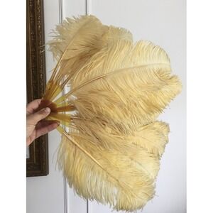 Antique 1920'S Orange OSTRICH FEATHER Hand Folding Fan
